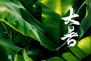 图片名称